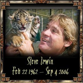 Steve with baby tiger