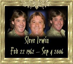 Steve Irwin Memorial Image