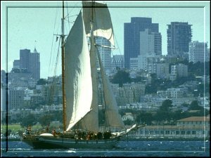 Sailboat in SF Bay