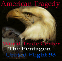 American Tragedy with Bald Eagle