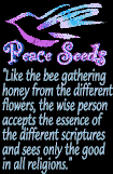 Peace Seeds Link